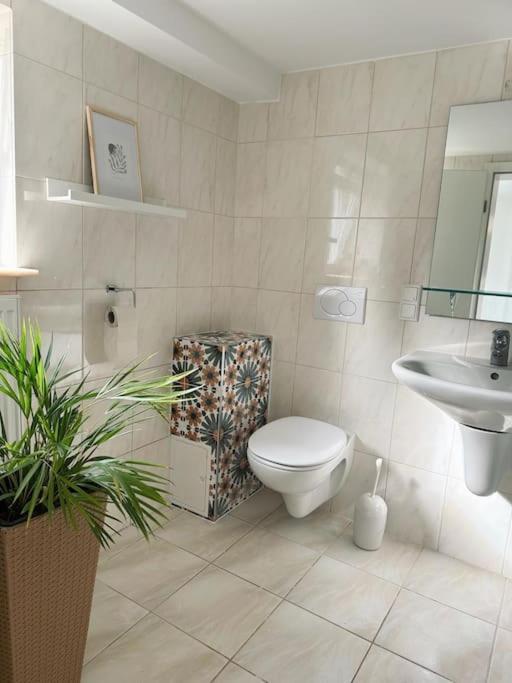 Königswinter Business Apartment Naehe Bonn מראה חיצוני תמונה